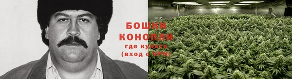 дурь Абинск