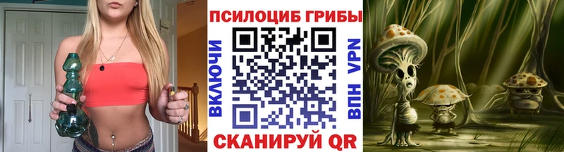 Псилоцибиновые грибы GOLDEN TEACHER  Альметьевск 