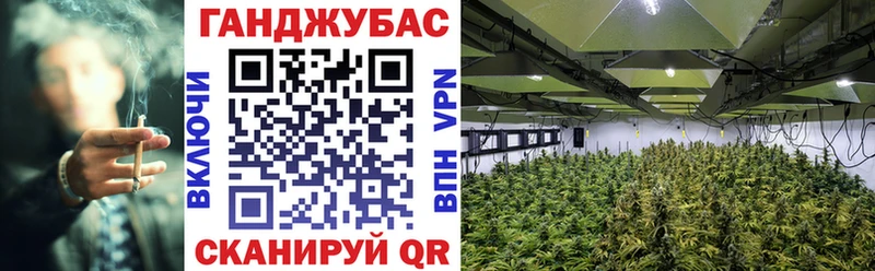 Конопля OG Kush где можно купить наркотик Альметьевск